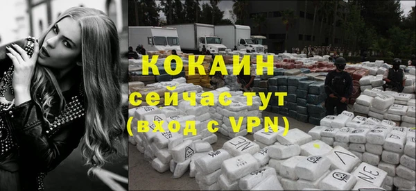 сатива Михайловск